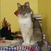 Отзыв от Маргарита Евсеева